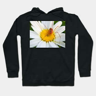 Spider and Daisy Hoodie